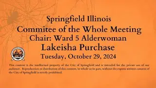 Springfield, Illinois Committee of the Whole Meeting Tuesday, October 29, 2024