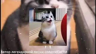 Комару - Бананчики 1 час
