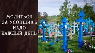 Молиться за усопших надо каждый день. Вселенская родительская суббота.