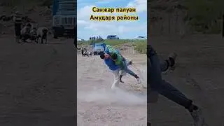 САНЖАР ПАЛУАН АМУДАРЯ РАЙОНЫ ПАЛУАНЫ #ippon #rek #1ᅠвидеоᅠнаᅠвкладкеᅠвᅠтренде #judo #тикток #kurash
