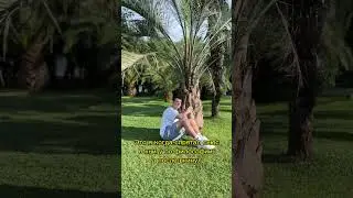 Жиза братцы апхпах #jokes #шутки