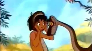 SHOCK THE MONKEY