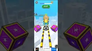 level collection 80