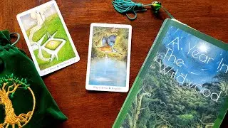 A Year in the Wildwood Tarot EP 2 🌿  Ace of Arrows and King of Arrows