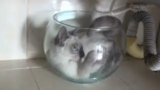 Con cualquier cosa se puede jugar