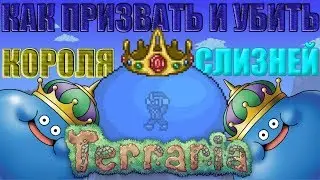 КАК УБИТЬ КОРОЛЯ СЛИЗНЕЙ В НАЧАЛЕ ИГРЫ?