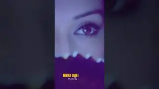 Saude Bazi Song With Lyrics #ajaydevgn #bipasha_basu #pritam #bollywood #love #romanticsong