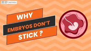 IVF - Why Embryos don't stick? What can you do to make them stick ? | Embryo Implantation Failure