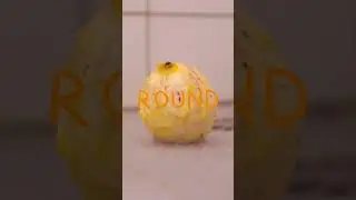 Round is out now!