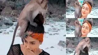 Indian actress sana khaan with monkey