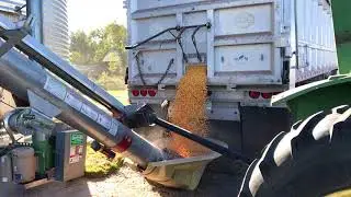 Transferring Corn from Truck to Bin