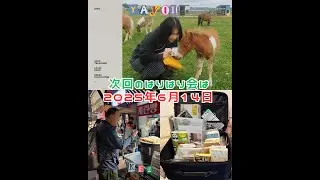 #はりはり会 250614予告