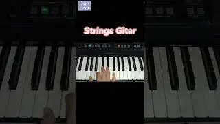 Suara Strings Gitar