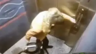 я внебрачный сын тайской