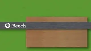 CFP’s Wood Species 101 | Beech