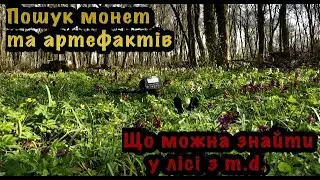 Що можна знайти у лісі з металошукачем? Пошук монет та цікавих артефактів у весняному лісі
