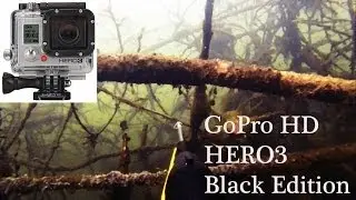 Мое первое погружение с GoPro Hero 3