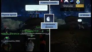 Советы племён после появления фаз луны в игре: первое время и теперь
