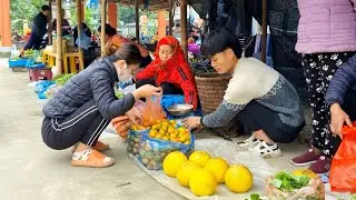 Full video, harvest, tangerine, grapefruit, ginger, star fruit, go to the market