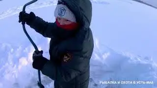 ТРУДОВАЯ РЫБАЛКА 2020!!! ЯКУТИЯ, УСТЬ-МАЯ!!!