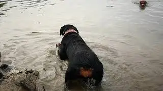 Водные процедуры