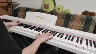 Цифровое пианино WENCAI BL-280