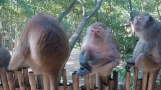 Krabi Thailand