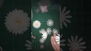 Ромашки из изолона МК. Резинки ромашки из изолона