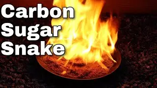 Carbon Sugar Snake - Chemical Reaction Science Demonstration