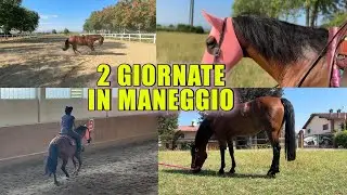 VLOG - 2 GIORNATE IN MANEGGIO CON ME FRITZI E @Albyphoto