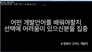 개발자가 직접 써보고 알려주는 개발언어 별 특징 및 장단점 비교 | 이 개발언어 부터 배우자!