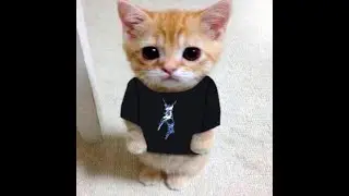 Инвент