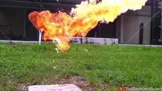 Ты залипнеш 72.99%