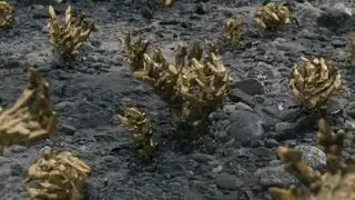 BT Boss Fight (Death Stranding)