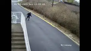 2021005311; LexIDme video 3