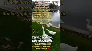 Tevhid tohumu düştü kalplere,büyüttük onu ahlâk ve ilimle, çoğalsın kalbimizde iman nuru/☝️❤️ TEVHİD