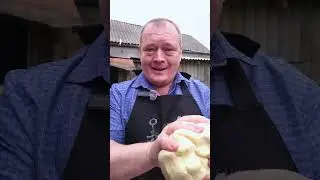 #ЧШБ