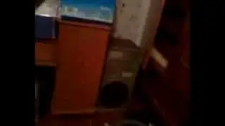 бас тест.mp4