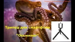 Распаковка: Трипод (тренога) для смартфона, фотоаппарата - "Осьминог"