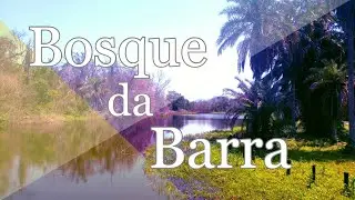 Parque bosque da Barra ( Bosque da Barra forest park ) Parque forestal Bosque da Barra