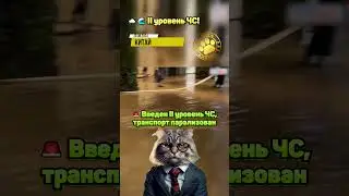 🌧️🌊 II уровень ЧС!