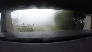 2 Hurricane Michael   Twelve Forty Eight PM