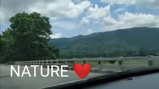 Nature❤️