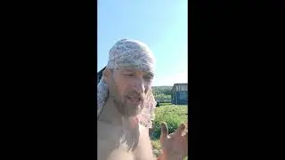 Уборка урожая началась.