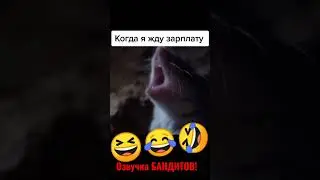 ⚡ОЗВУЧКА БАНДИТОВ #5|