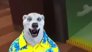 Белый медведь захватил Фоксяныча вместо мира!!!!1!1!