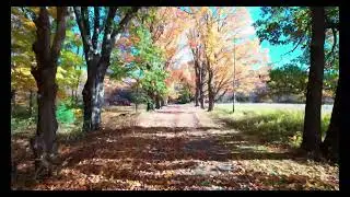 Around The Blue Hills