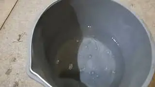 Первое опыление Аской после высадки.