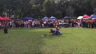 Indonesian independence  day