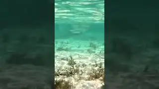 На Маврикии все хорошо! Но холодно! 